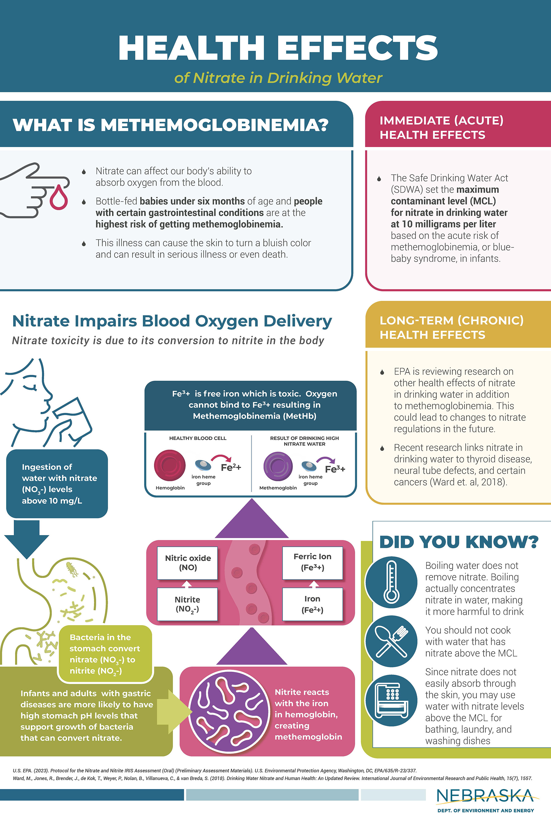 Health effects of nitrate in drinking water