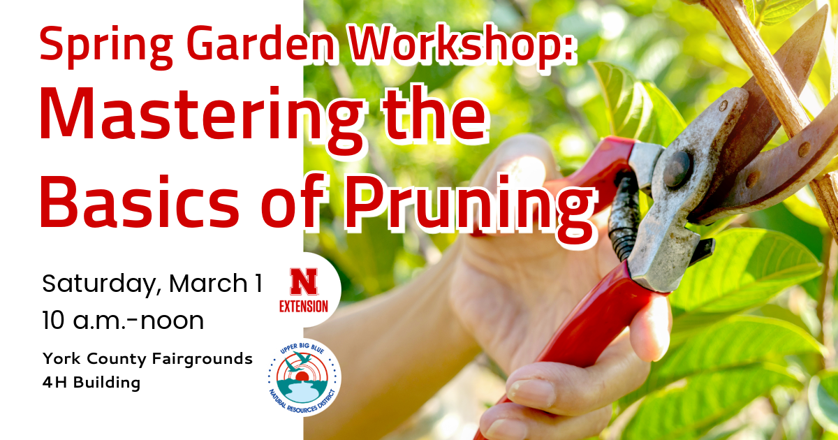 pruning class