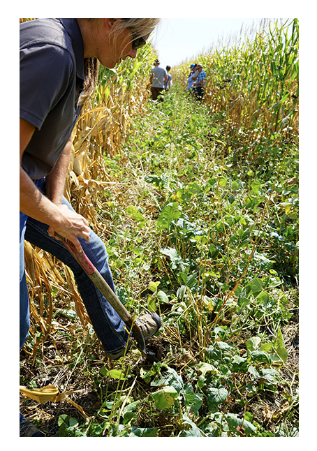 Jenny Rees looks at soil structure and moisture