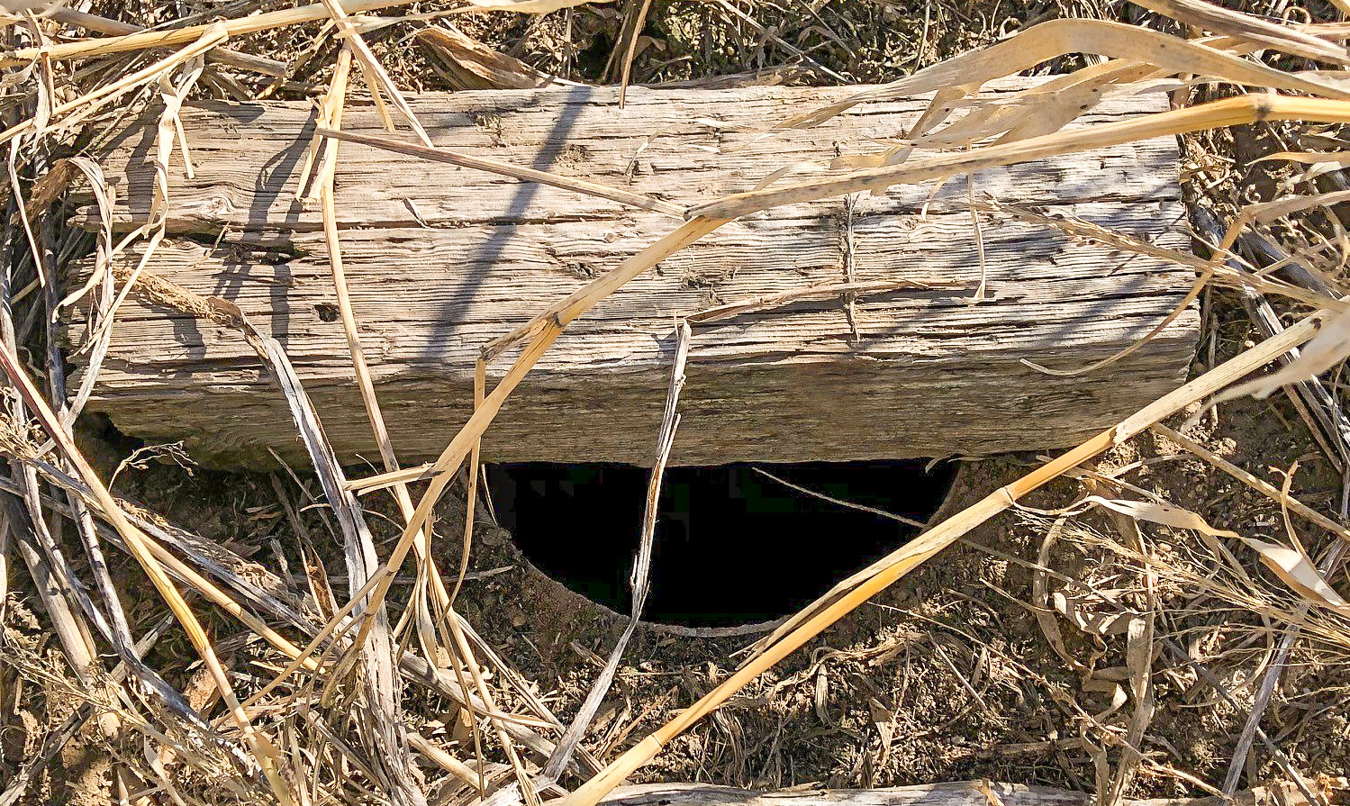 Old wells, could you spot one? | Upper Big Blue Natural Resources District