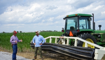 Dzingle cover crops