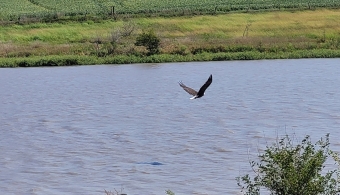 water sampling