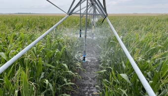 irrigation