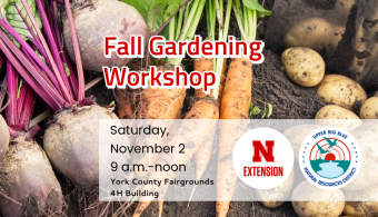 garden workshop